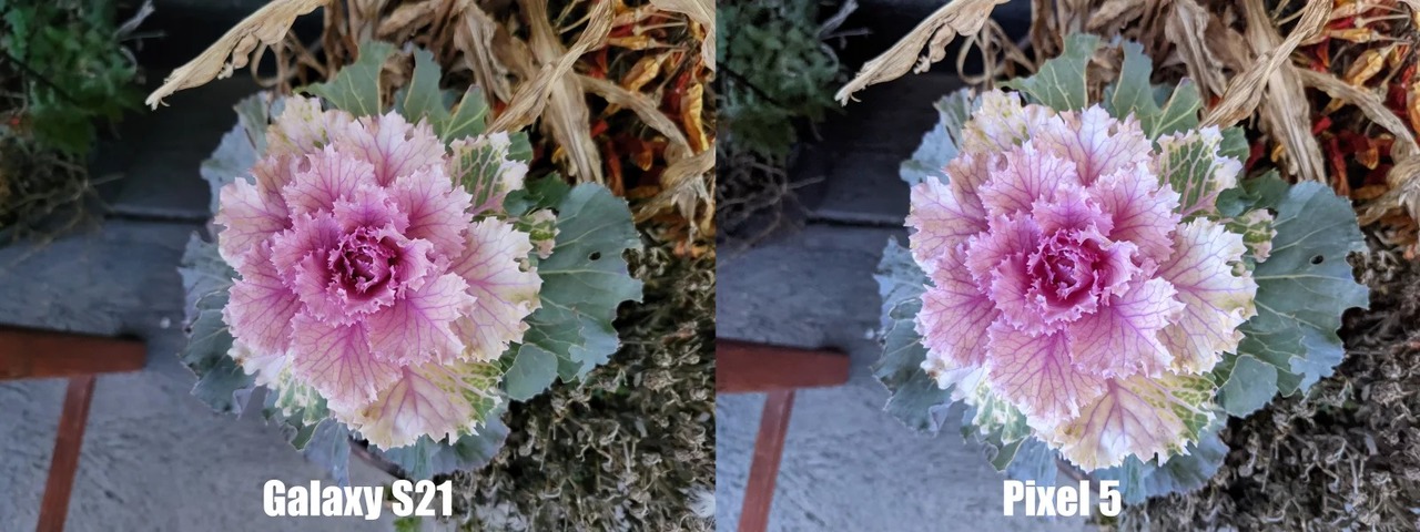 Gs21-Pixel5_Photo-e