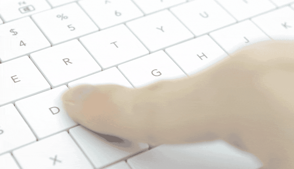 touch