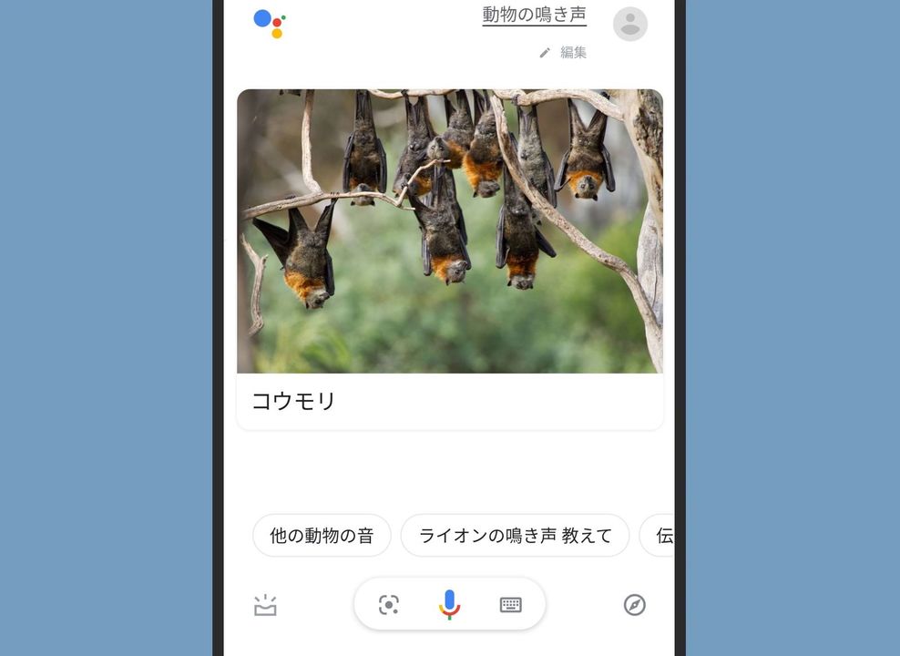 210330_googleassistant6-1