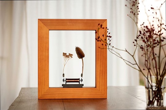 ファンタジーの世界が現実に!?オブジェが動いて見える、まるで魔法のようなアートフレーム