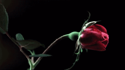 sd04