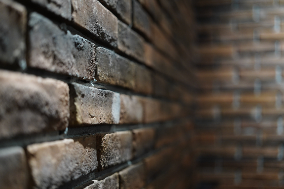 210423sonylens_13