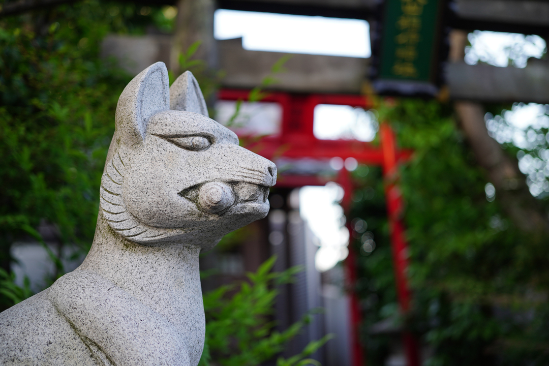 210423sonylens_14