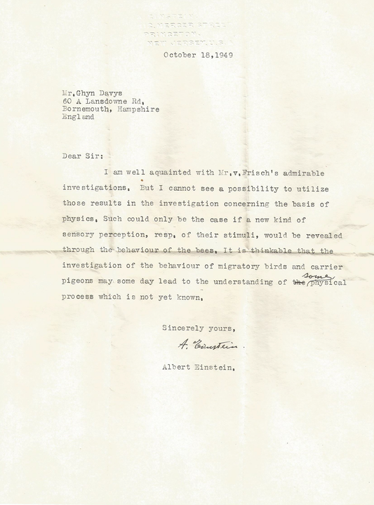 2021-0524-einstein-ponders-bird-in-letter-02