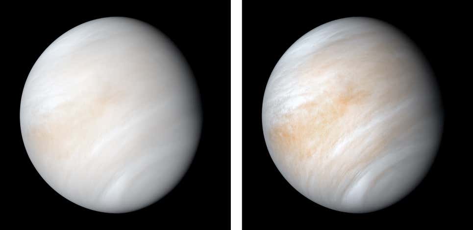 210604venus2