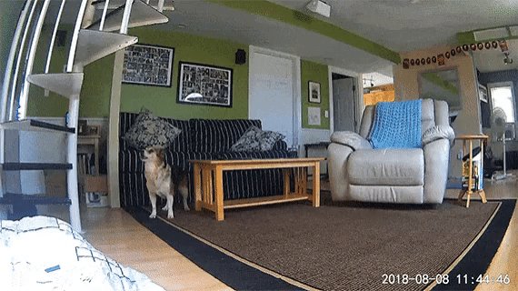 ezgif.com-gif-maker(2)