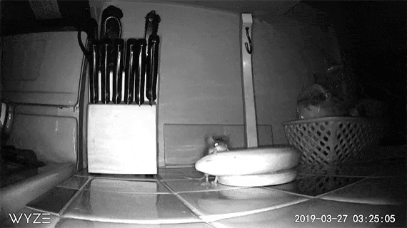 ezgif.com-gif-maker(3)