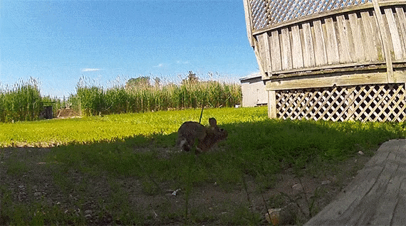 ezgif.com-gif-maker(4)