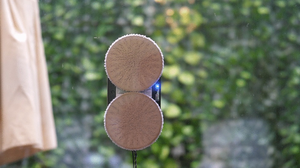 210729_windowcleaner2