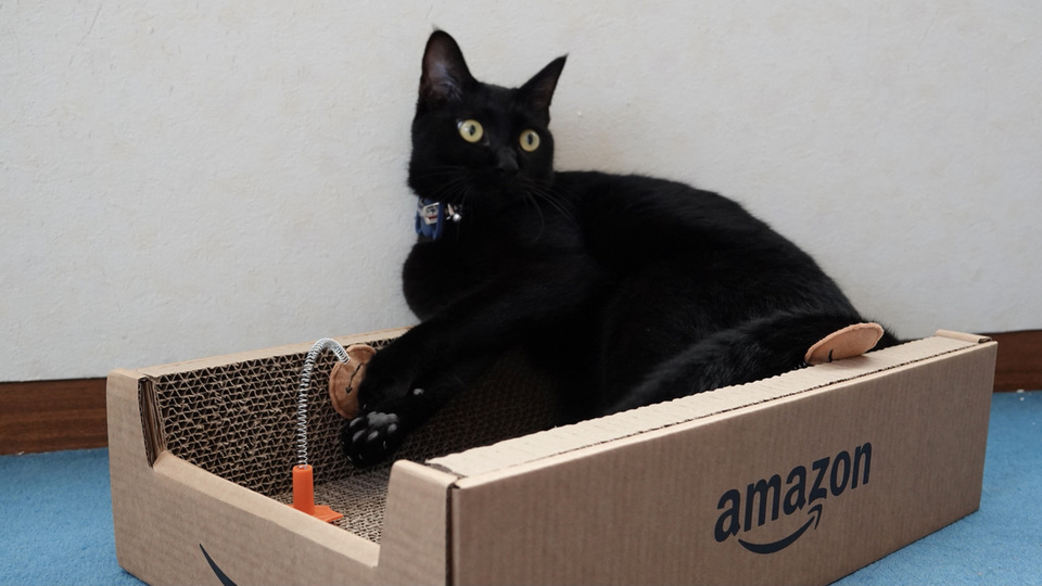 運動不足気味＆超臆病なネコたちが喜んだ！ Amazon印の爪とぎが最高 