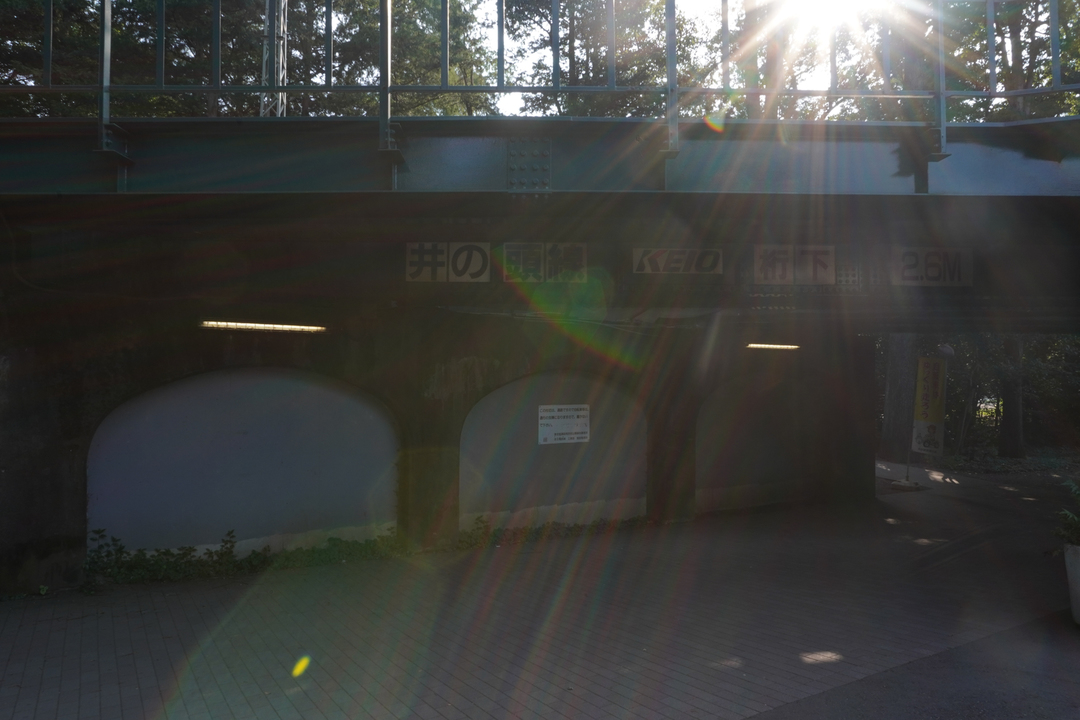 210920zve10_09