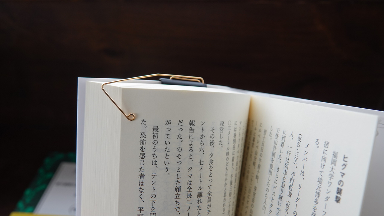 88807DB5-90AE-458D-88AE-4FE52FB4FDC0-1