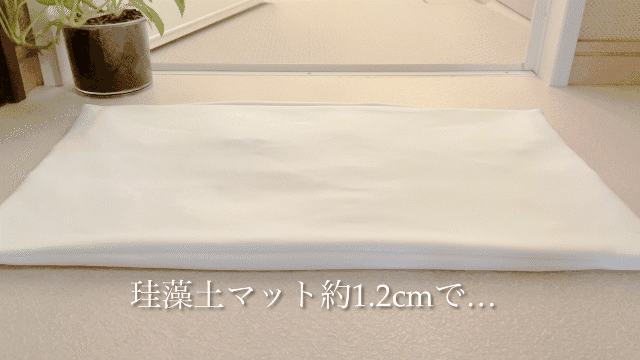 Kv-fuwasara1_ma