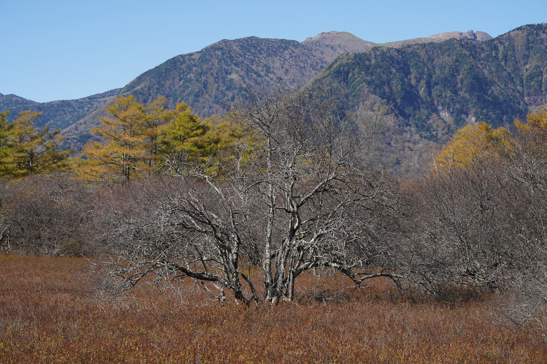 20211018-79mm_iso100_f56_ss400