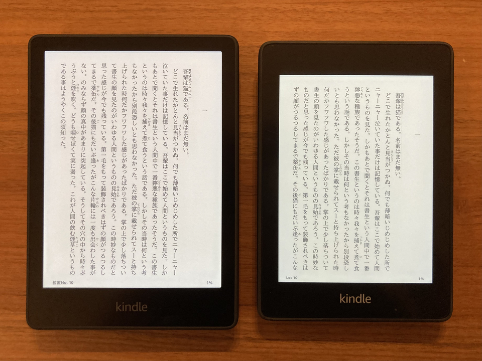 211028indlepaperwhite01