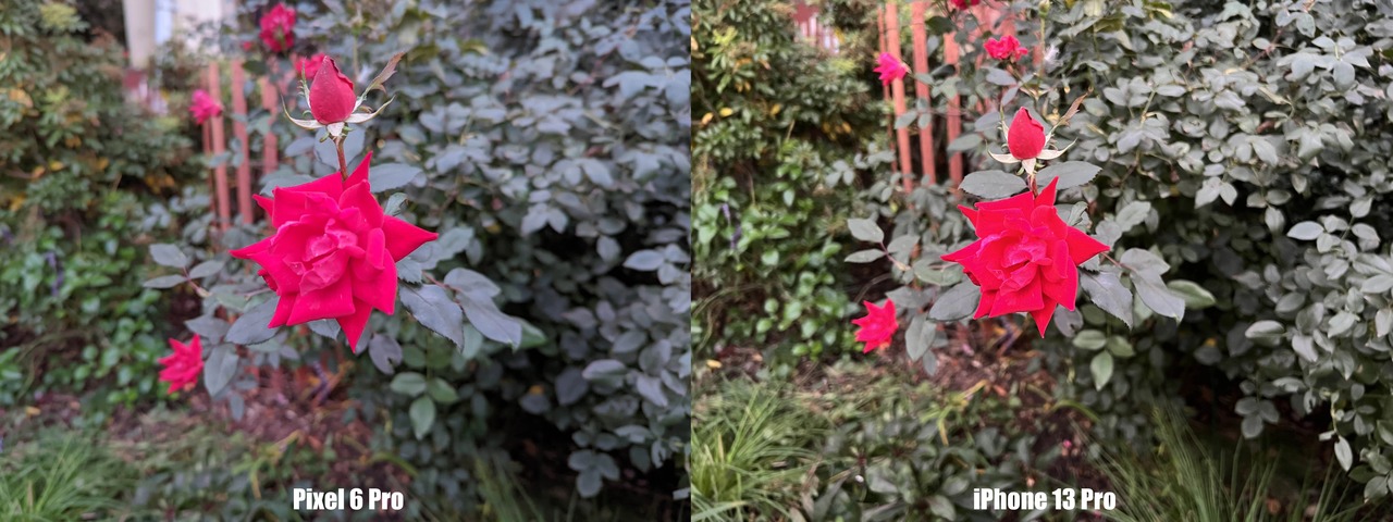 211109vspixel6pro04