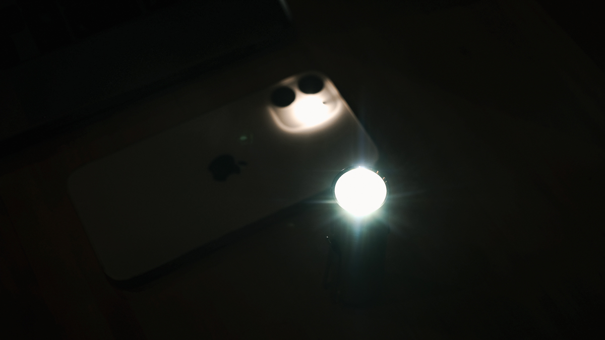 DSCF2941
