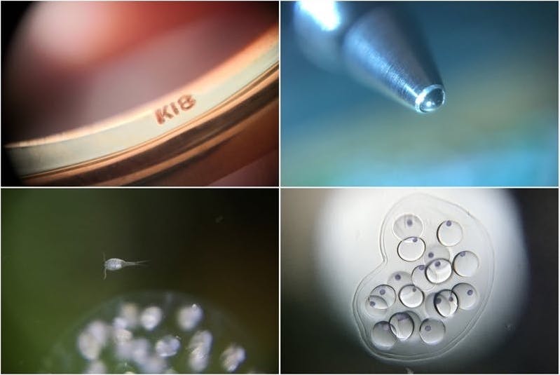 microhunterlens3