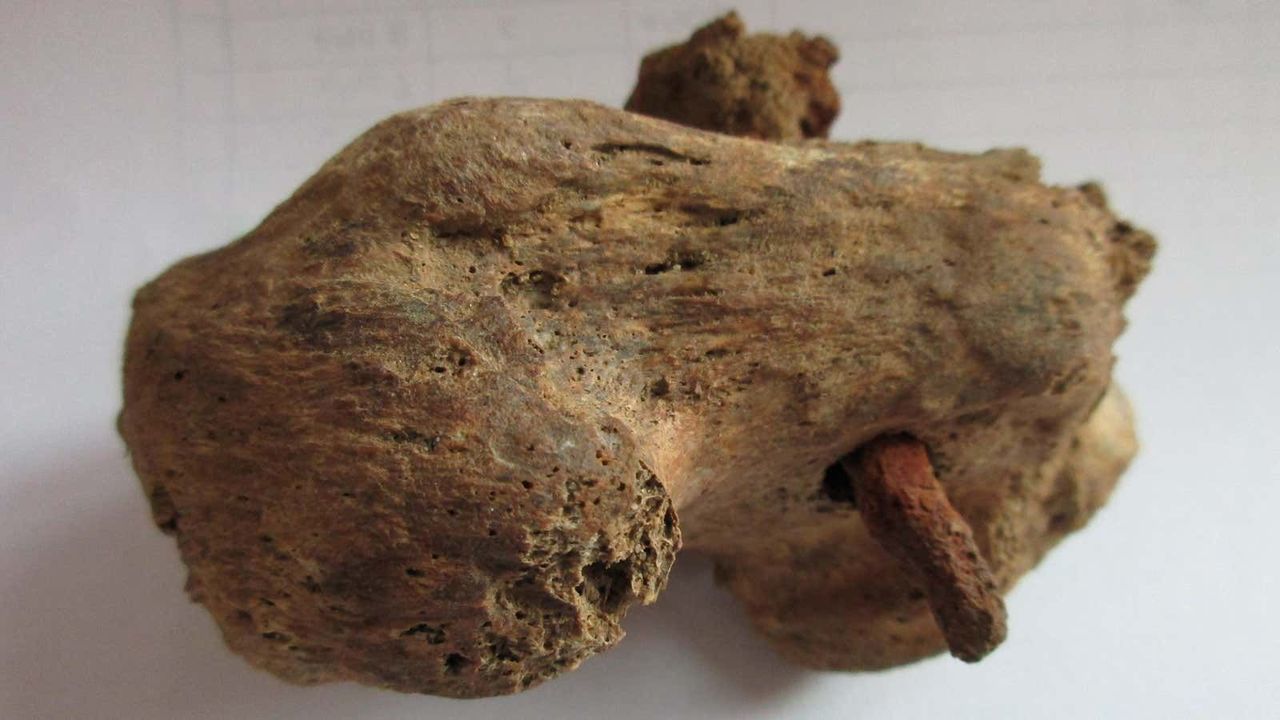211214_crucifiedbone1
