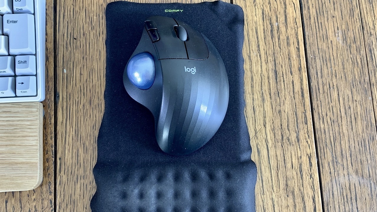 Nakagawa2