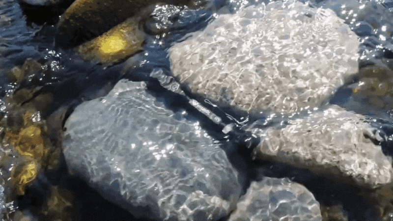 SHARVOL(1)