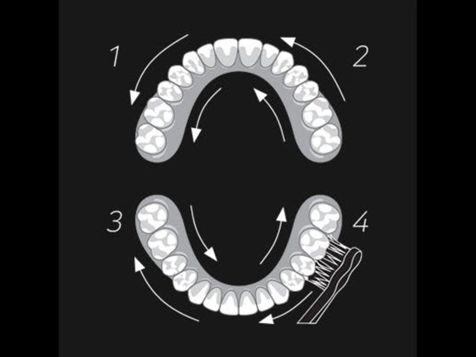 6b1cf46a-7ce1-47ea-bb2c-2e092ec8a1e0