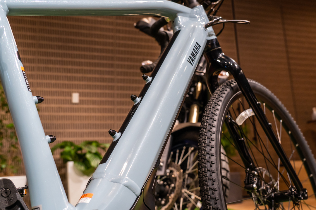 20220113-DSC07348-Gizmodo-3