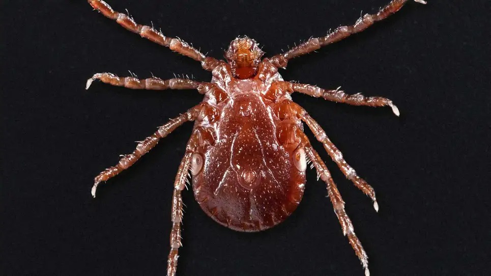 220122species4