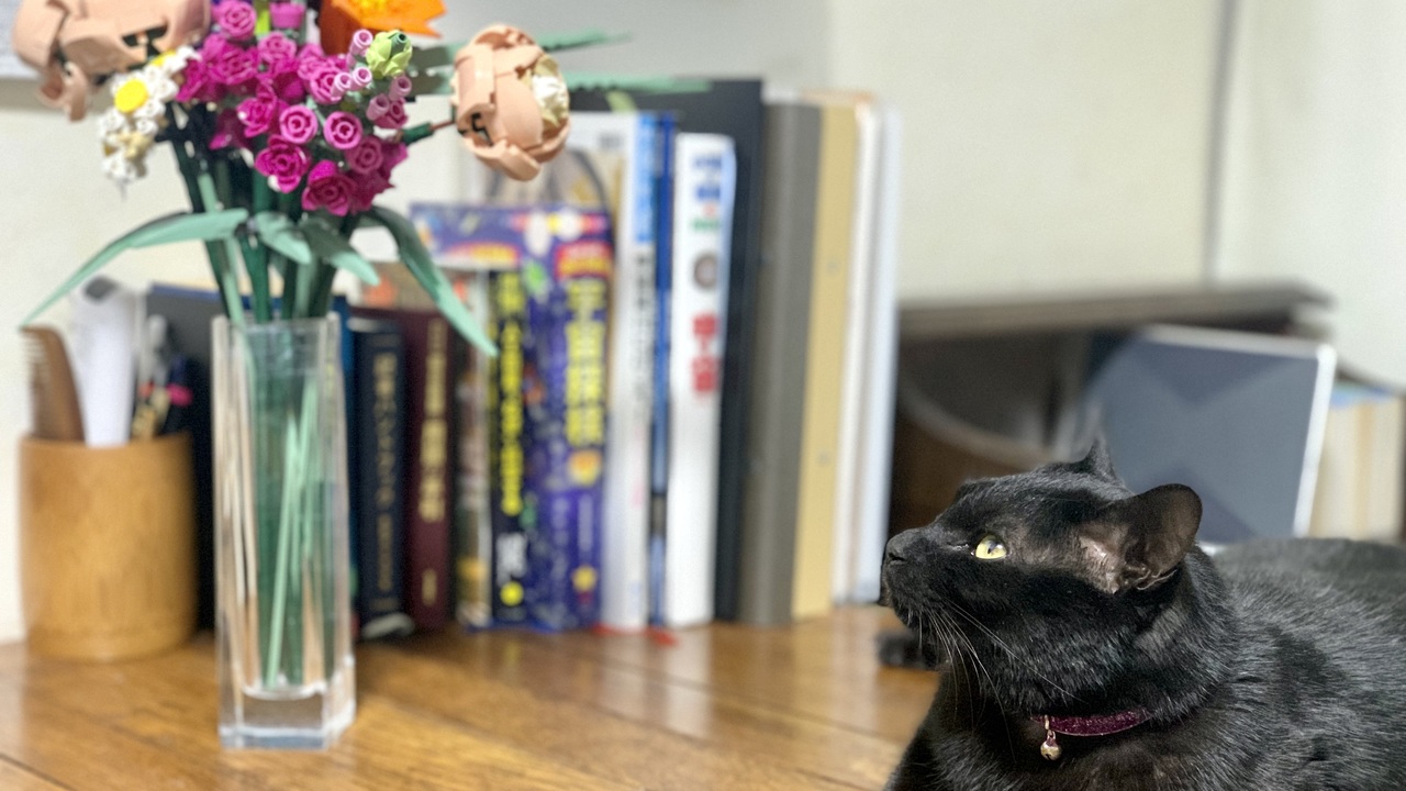 ネコがいても安全に花を飾りたい 造花 もいいけど レゴブロックのブーケがイチオシ ギズモード ジャパン