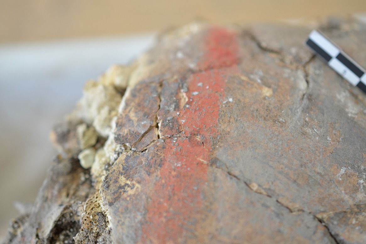 220328Çatalhöyük2