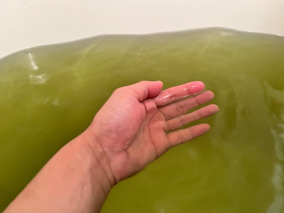 BATHOUT08