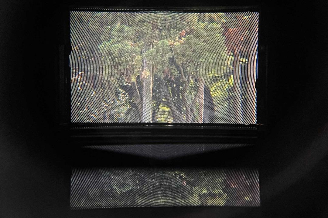 IMG_6682