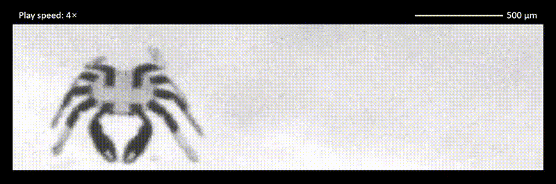 220531_1