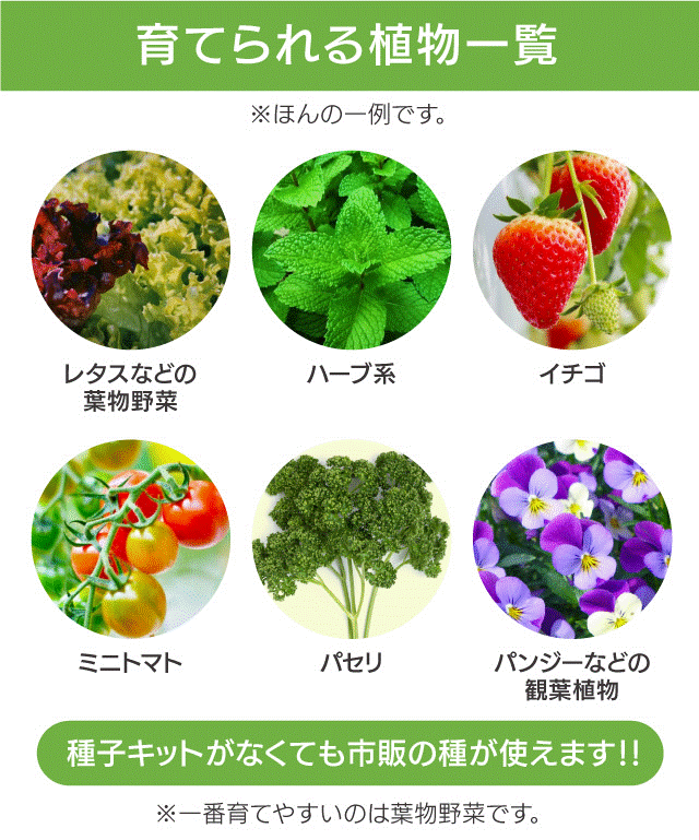 アスパラガーデンLITE05