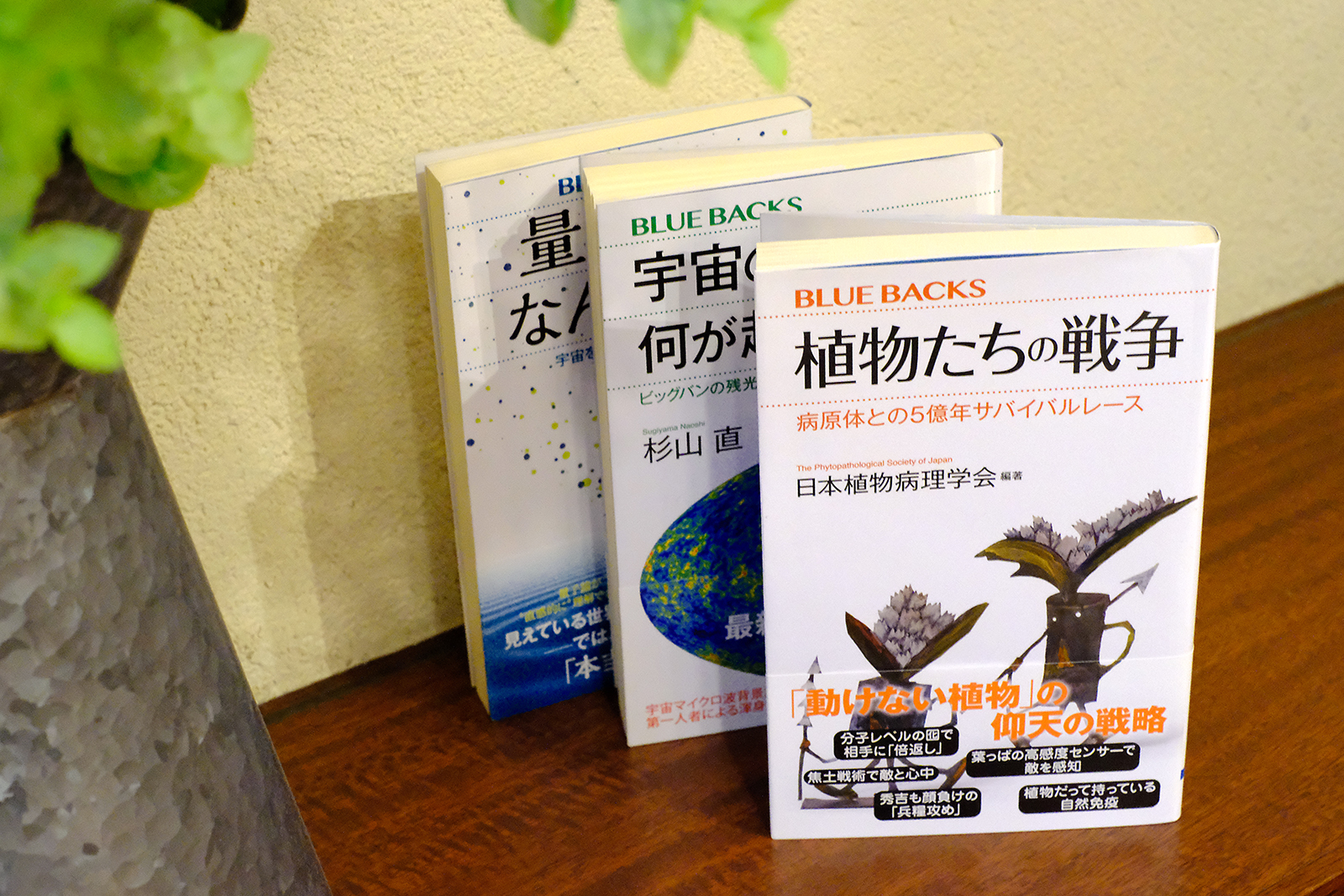 大人の「なぜ？なに？」に答えてくれる、講談社のサイエンス新書