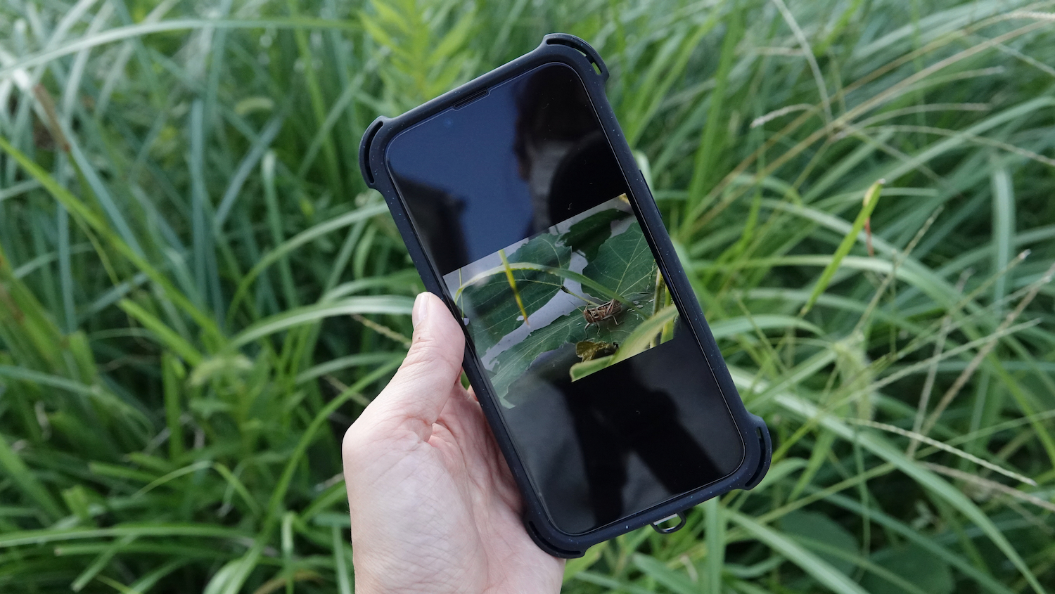 iPhone 14を買ったけど「Proにすればよかった」と思うことがあります