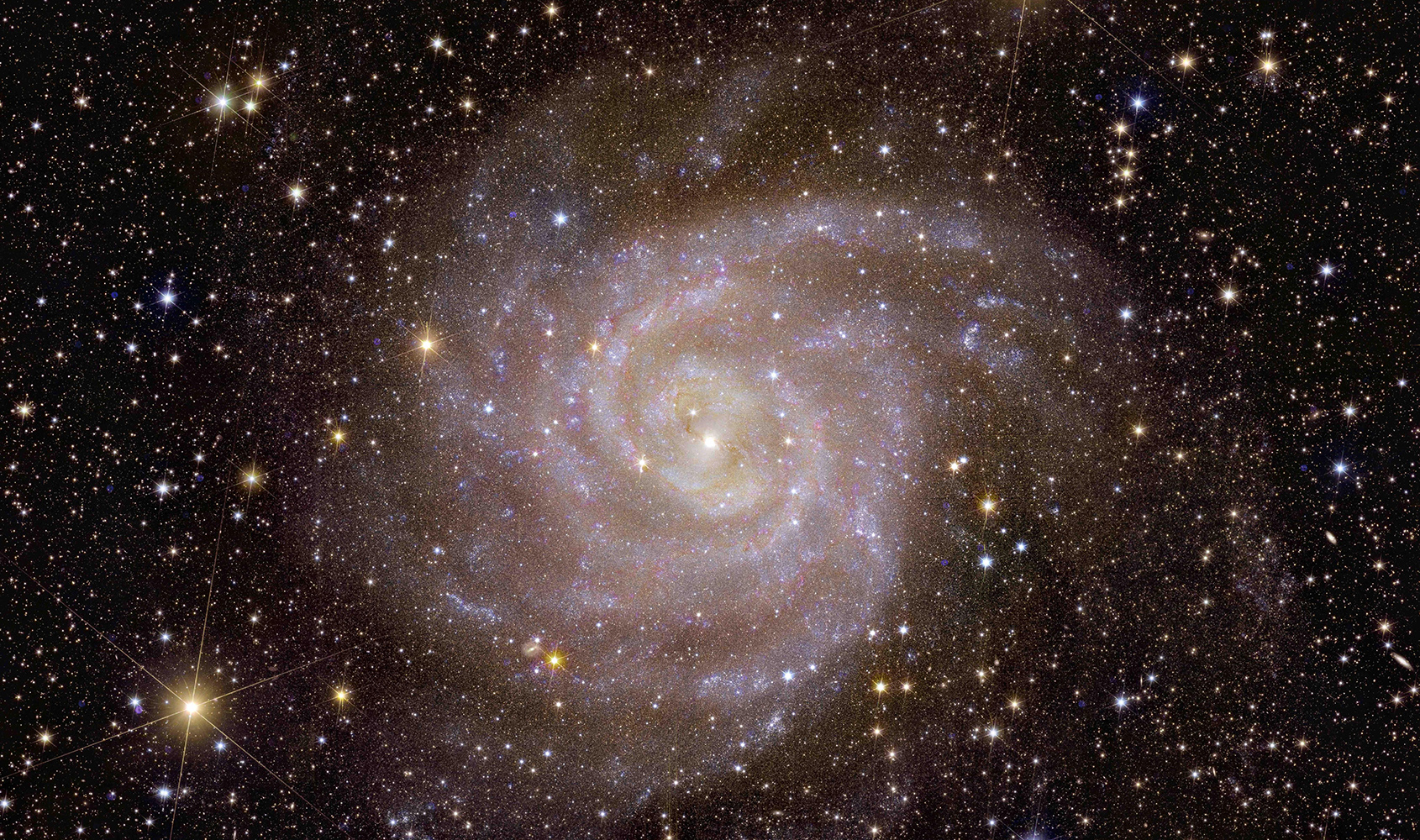 宇宙望遠鏡「ユークリッド」が捉えたのは鮮明な銀河の姿だった