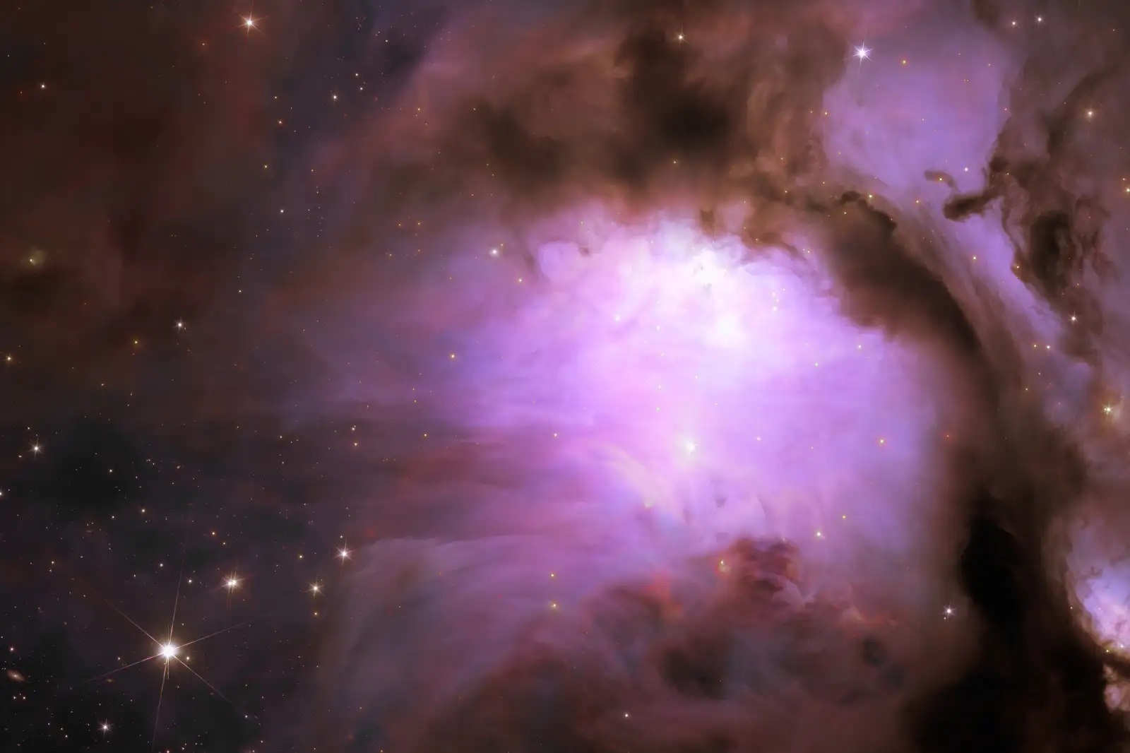 240613EuclidImages.jpg