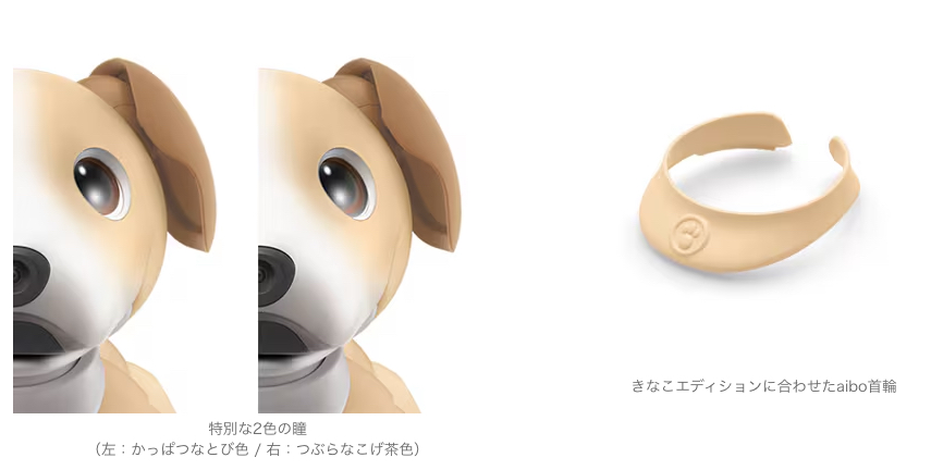 aibo きなこエディション首輪 aiboに新しい友達が増えました。柴犬っぽい色したきなこくんです