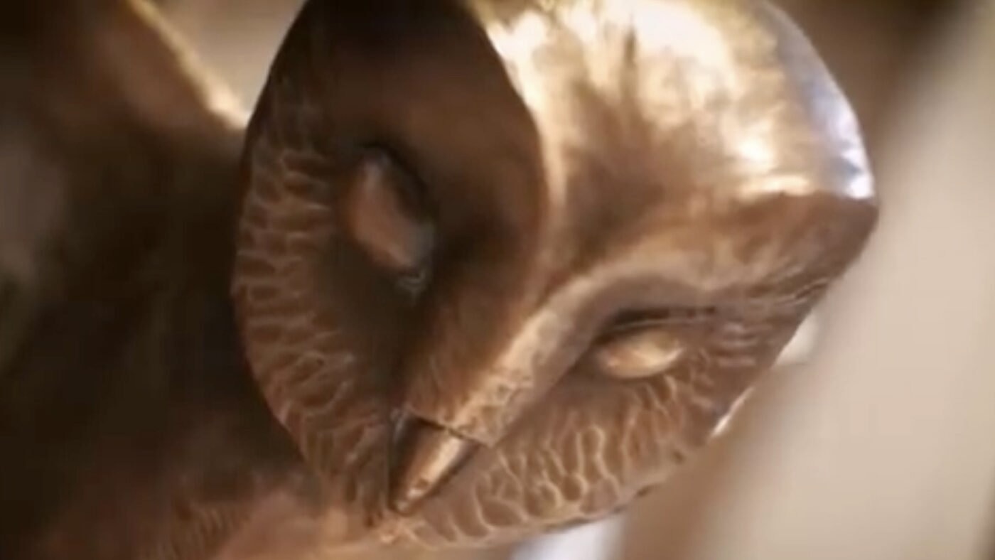 golden-owl-documentary-