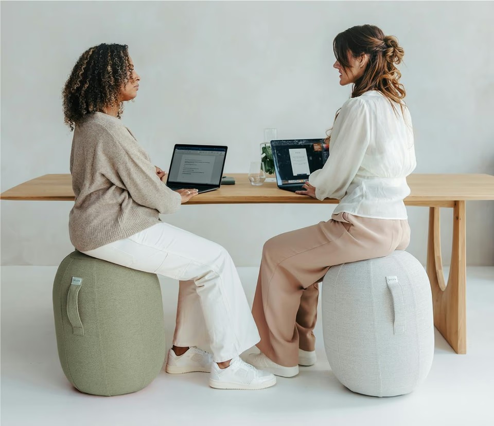 【美品】＆MEICAL バランスボールチェア バランスボールを再解釈。ドイツ発のカプセル型バランスチェアが健康的