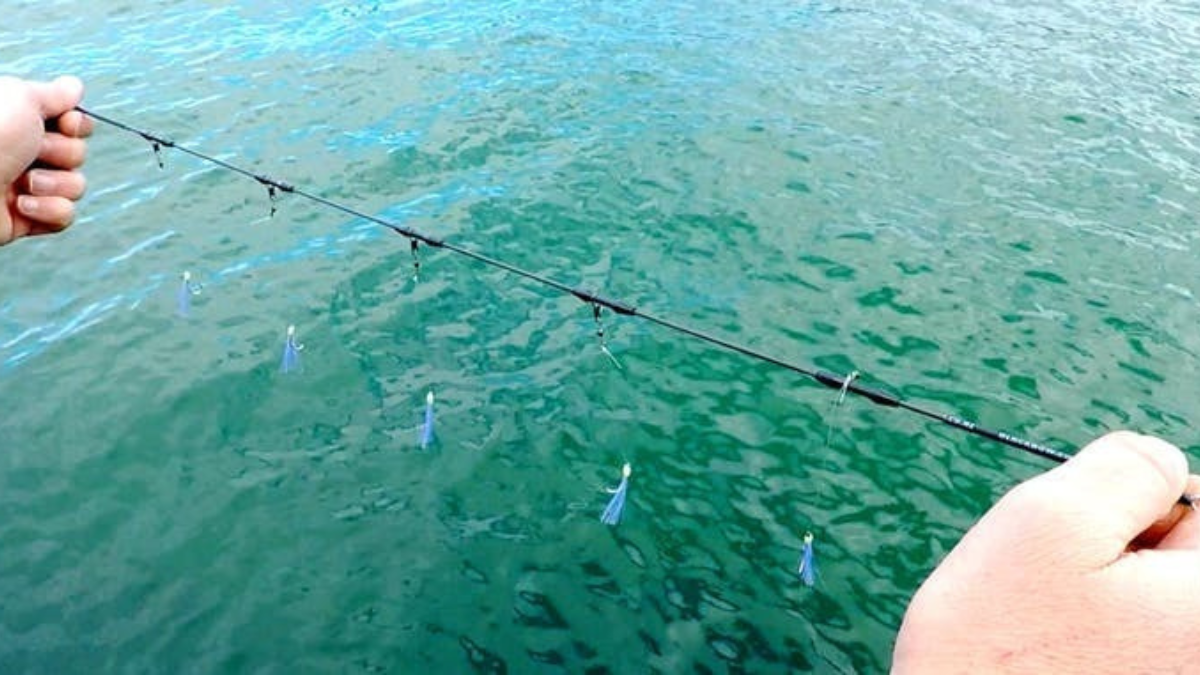 釣りを台無しにする「糸絡み」を減らしたい。NZ発のサビキ仕掛けを試し