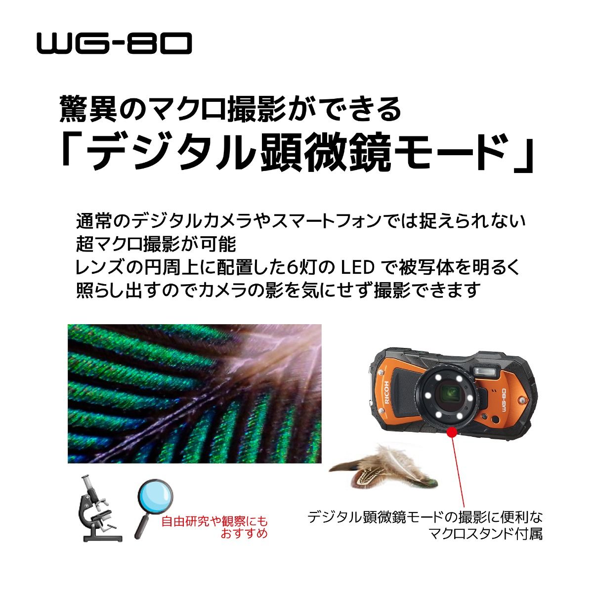 アドベンチャー派のためのカメラ「RICOH WG-80」が登場 | ギズモード