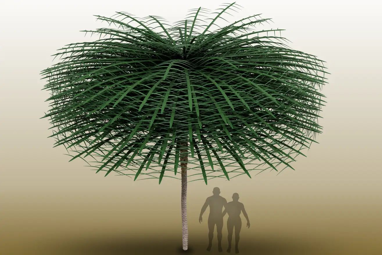 240206_drseusstree.jpg