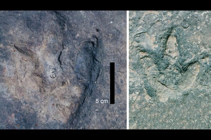 dinosaur-tracks-footprints- 