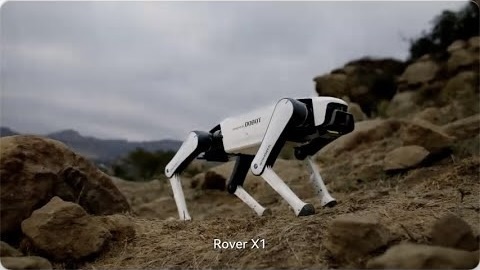 ウッドロボット ＆ ワンちゃん 人型ロボは305万円だけど、番犬ロボなら16万円。あなたならどっち