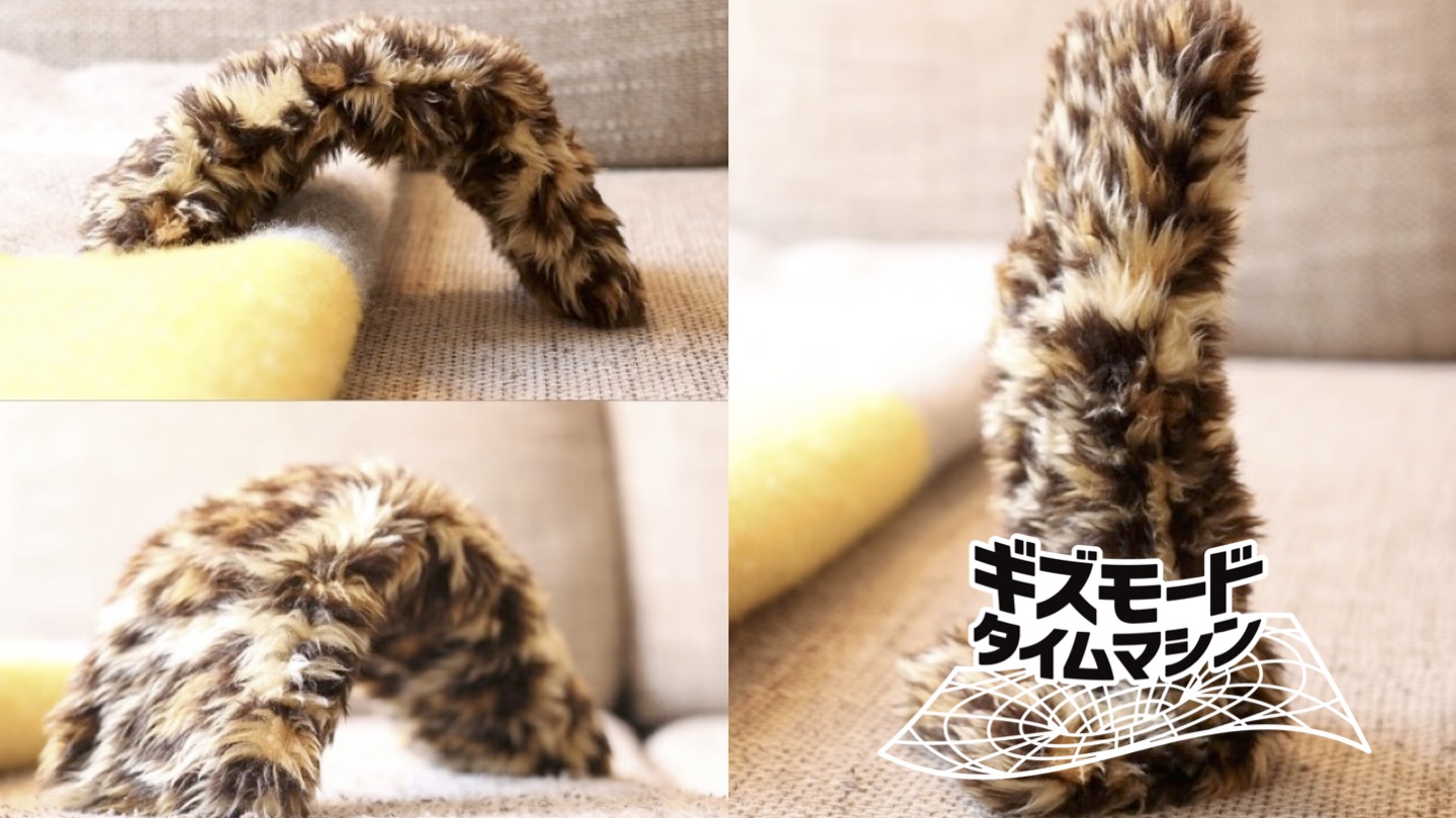 人間は猫の「しっぽだけ」でも愛せるのか？ 2021年誕生の猫しっぽ
