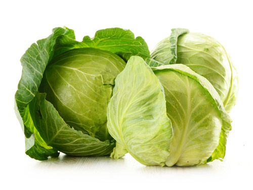 130115cabbage.jpg