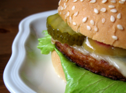 090221semi-vegetarianism2.jpg