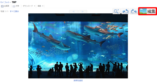 Picasaウェブアルバムの写真が Picnik でオンライン加工できるように ライフハッカー 日本版